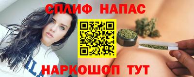 Альфа ПВП Пушкино