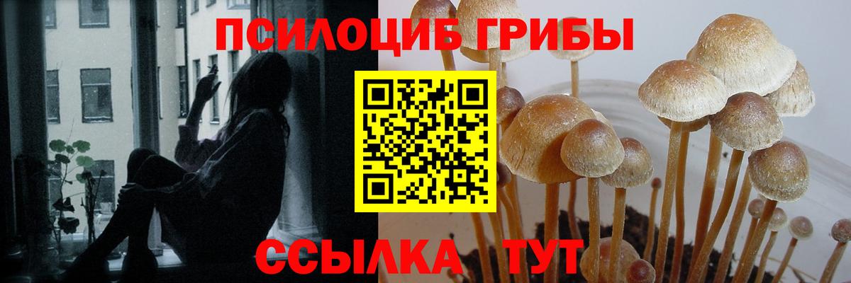 Псилоцибиновые грибы Magic Shrooms Свободный